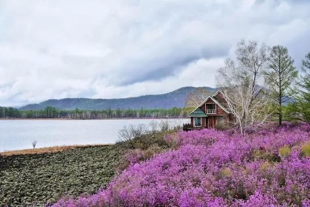 还没结束的花事，槽点太多了！