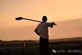 刘振起：没有集体之躯，焉有集体之魂图片