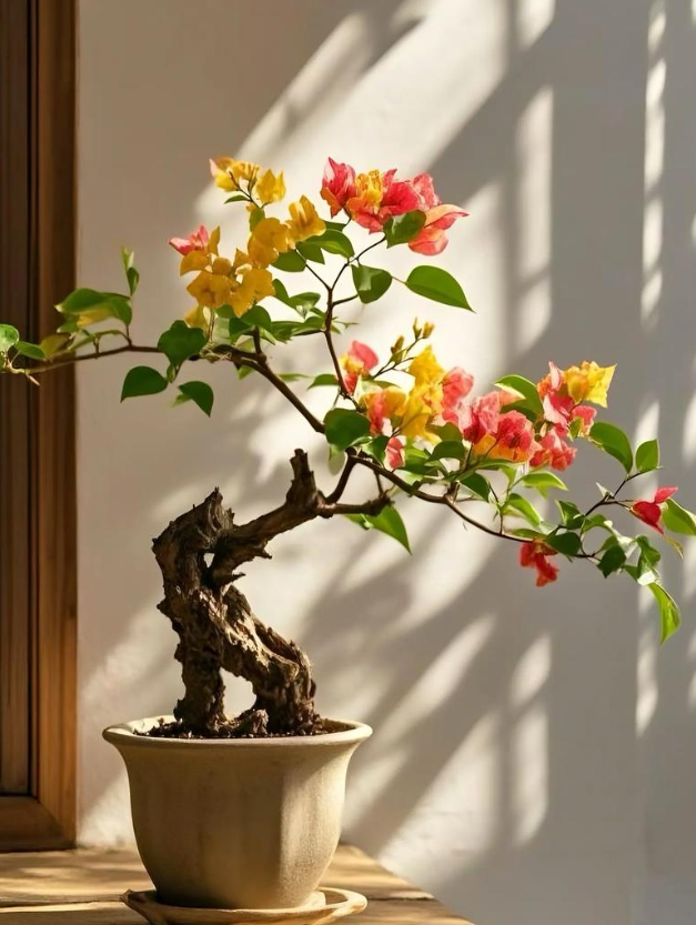 家中花卉"只长叶子不开花"？全面解析原因与破解之道