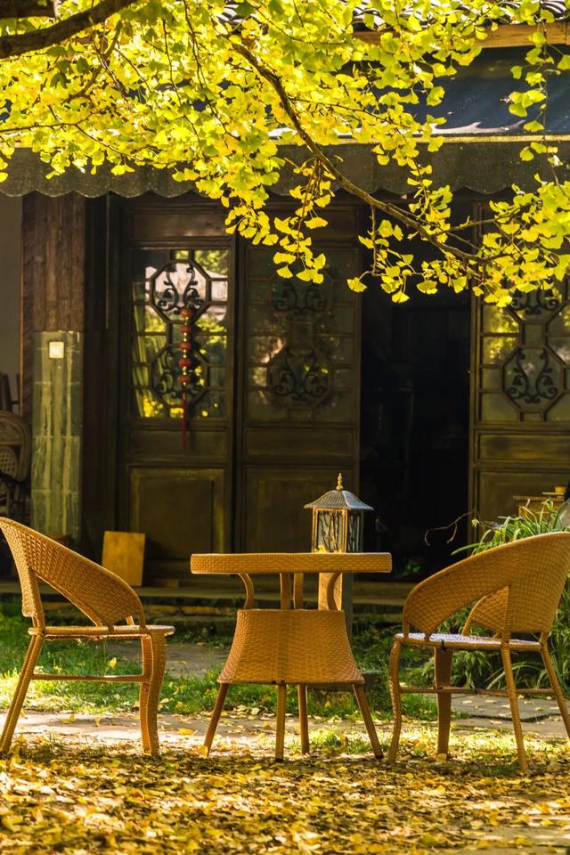 均温25°C，一年晴天300天的滇西小城，去躺平几日简直不要太快乐