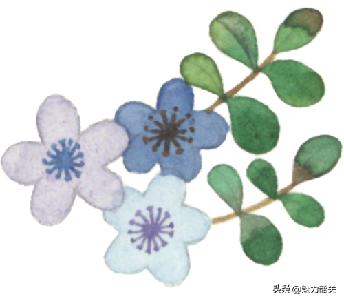 韶关翁源景轩酒店11月9日试营业