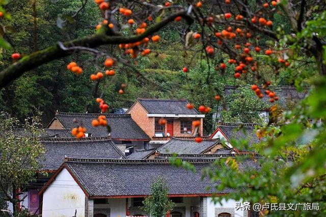 卢氏秋日美图 | 柿柿如意 山乡秋韵拉满