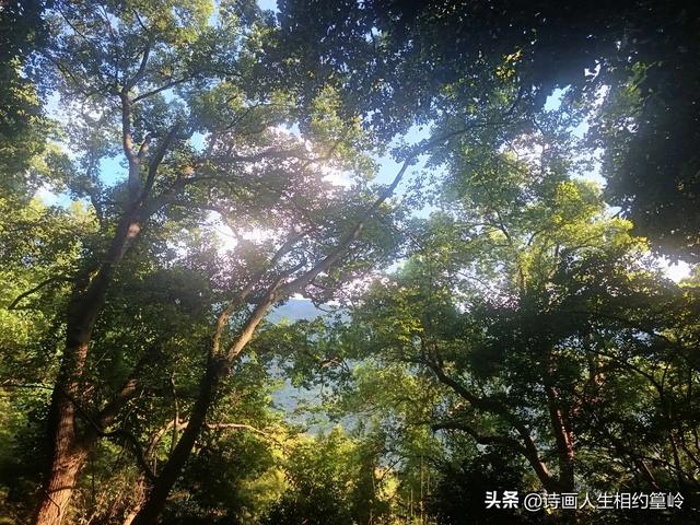 邀你来魅力篁岭，大胆自信地露露脸吧！