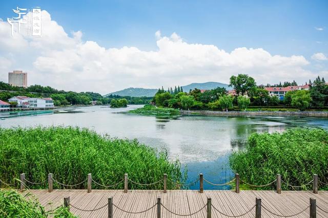 秦淮citywalk｜夏日寻凉之月牙湖