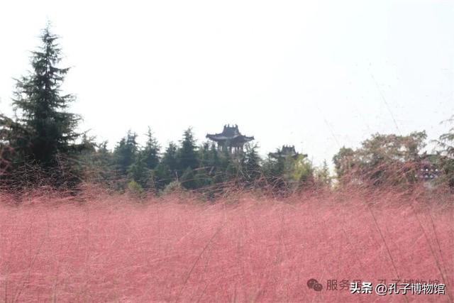 国庆首日孔子博物馆人气旺，多样活动精彩纷呈