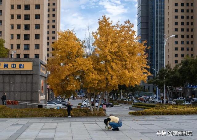 图说定西 | 安定区的限定秋景，又双叒被美到了！