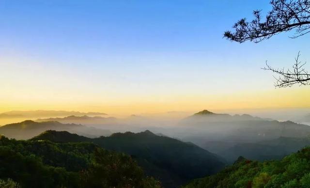 入伏了！黄柏塬带你走进19℃的夏天，云雾缭绕的山野避暑秘境