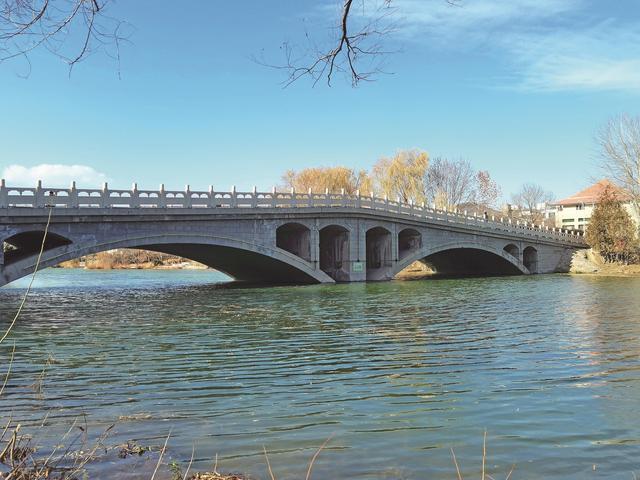 银川城记丨陶然桥、双狮桥——桥跨碧水，映照生态巨变