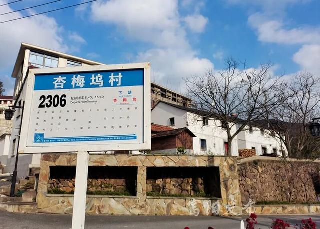 富阳这个网红村，游客车辆从山脚排到村里！