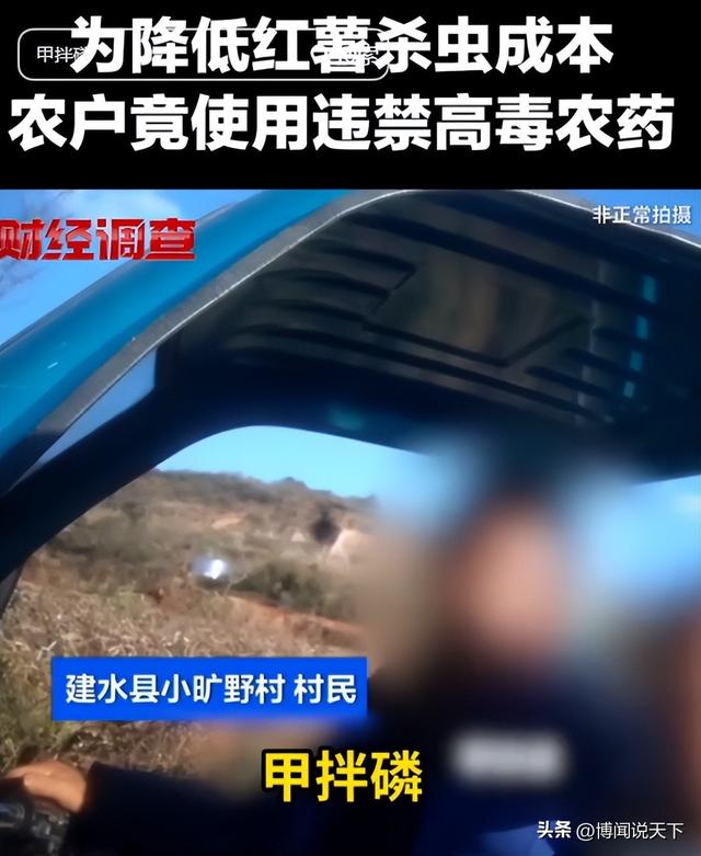 央视曝光毒红薯！商户主动投毒，流窜至全国多地	，背后利益链曝光