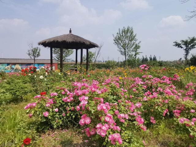 三河市：知名的历史文化名村（二）