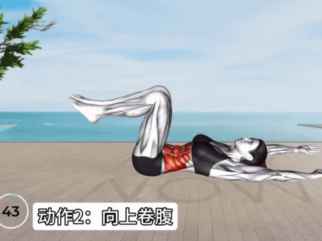 最快“瘦肚子”的5个动作，坚持一周瘦一圈儿！