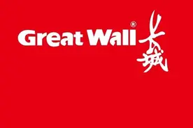 中国长城，44万股东的坚守，未来的科技黑马，人均持有11万图片
