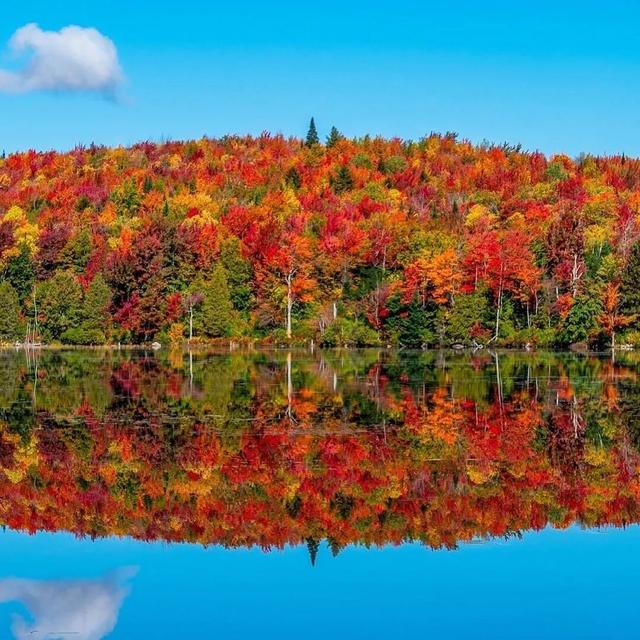 秋天的色彩，染在树上，也映在了水里