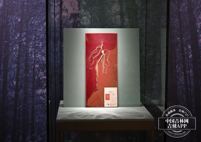 新发路观察｜看过这个展，你才真正触摸到吉林
