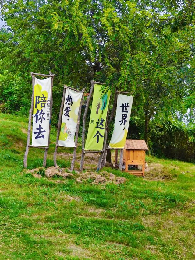 山水相逢,见星也见宁🤩