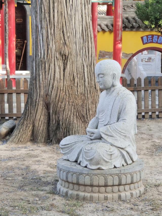 甘肃平凉，被严重低估的宝藏小城！感受西北黄土高原的豪迈与烟火