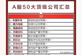A股这50家公司全球行业排名第一！（附A股核心蓝筹公司名单）图片