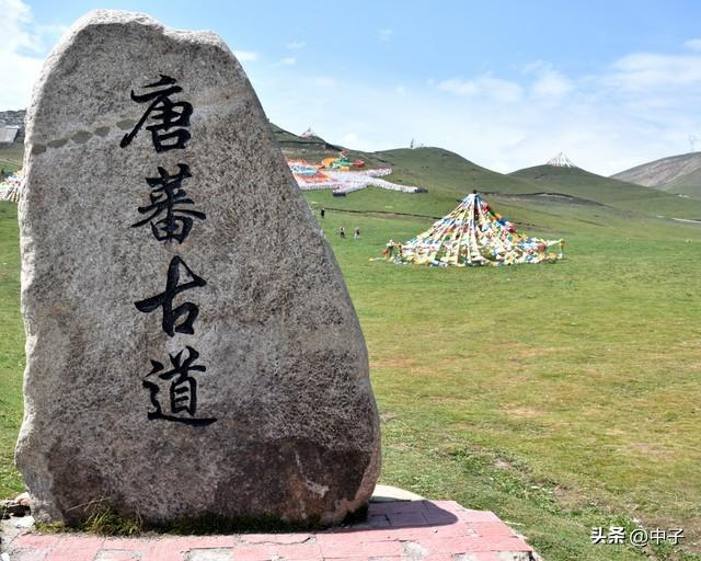 省了80元！西宁塔尔寺免费开放，看完再出发