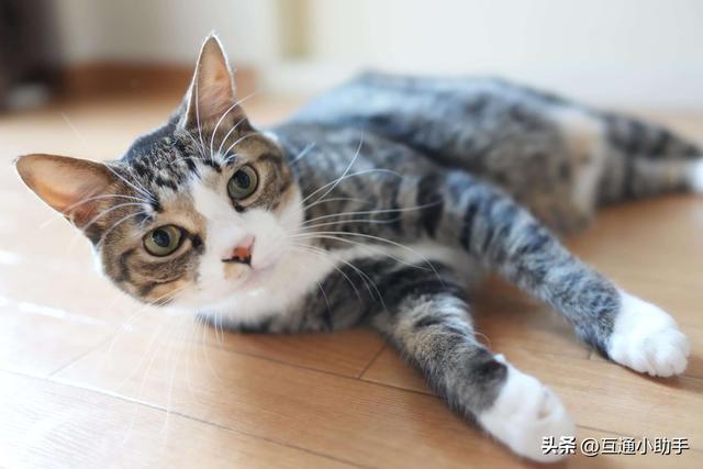 索尼Cyber-shot RX1R III 评测 | 发挥镜头一体化优势的高解析性能