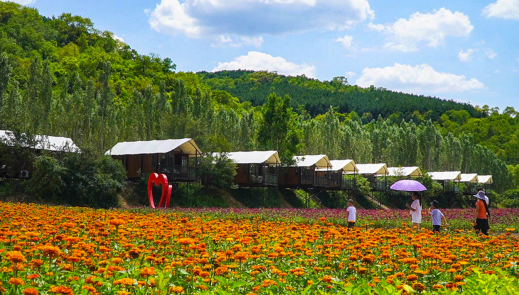这么凉 那么近~快来合水县开启一场 26°C 的避暑之旅吧！