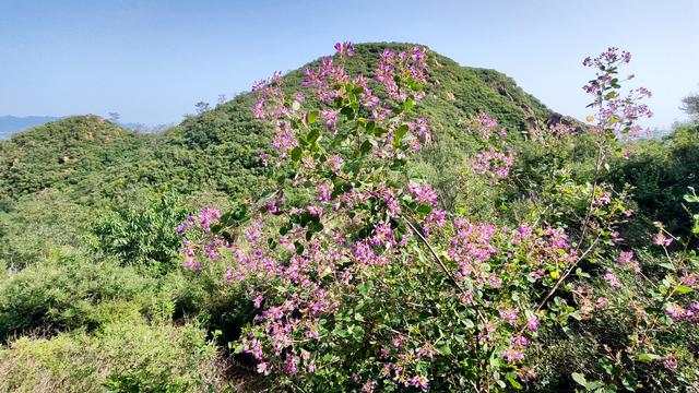 探秘西北梁：一场藏在封龙山余脉里的秋日驴行