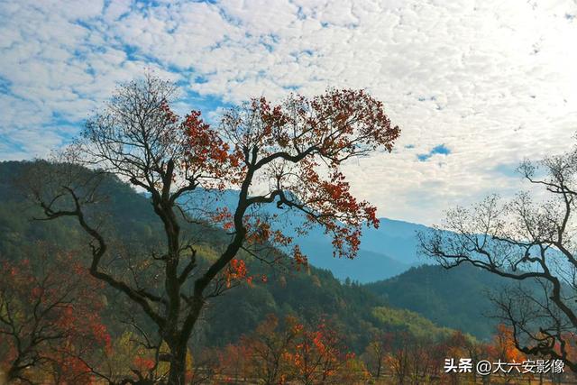 六安摄影师跨越山河万里 定格中国好风光