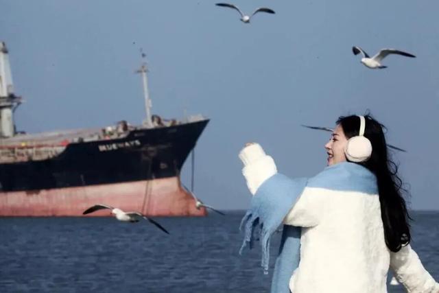 天鹅畅游圈剧透：五部恋歌，首篇「天鹅絮语」上线！