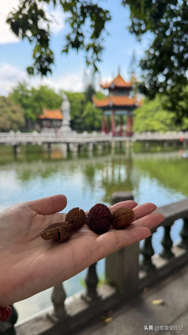 福州竟藏着这么一座宝藏古寺——西禅古寺！