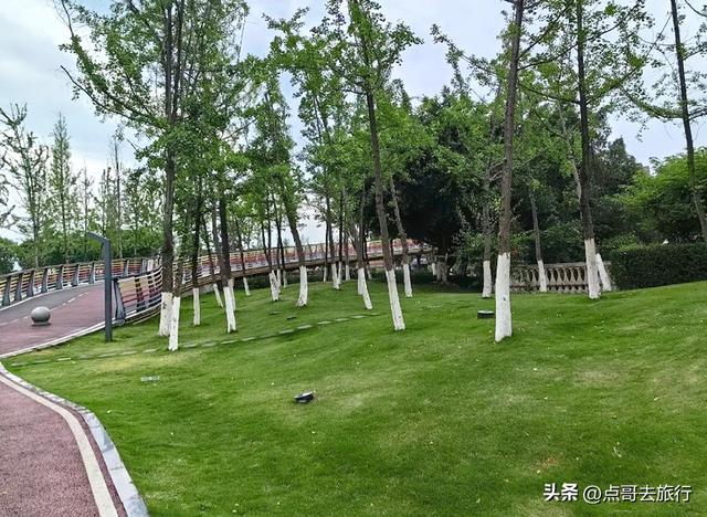 成都市内超级大草坪，美得让人惊叹，是摄影者的天堂，公交车直达