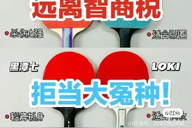 少走弯路！值得入手的乒乓球拍都在这！图片