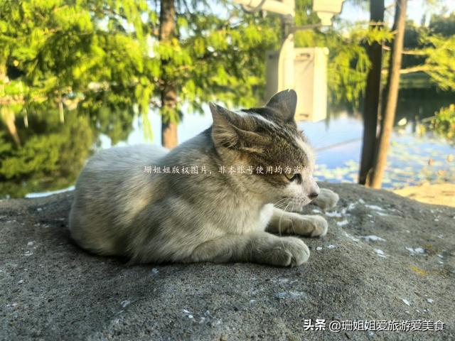 东山湖冬天最佳游玩地：拍广州风景一线天，还是候鸟观赏圣地