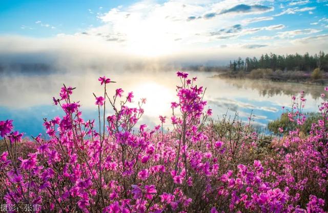好消息！阿尔山市登上2025年全国县域文旅融合综合竞争力100强