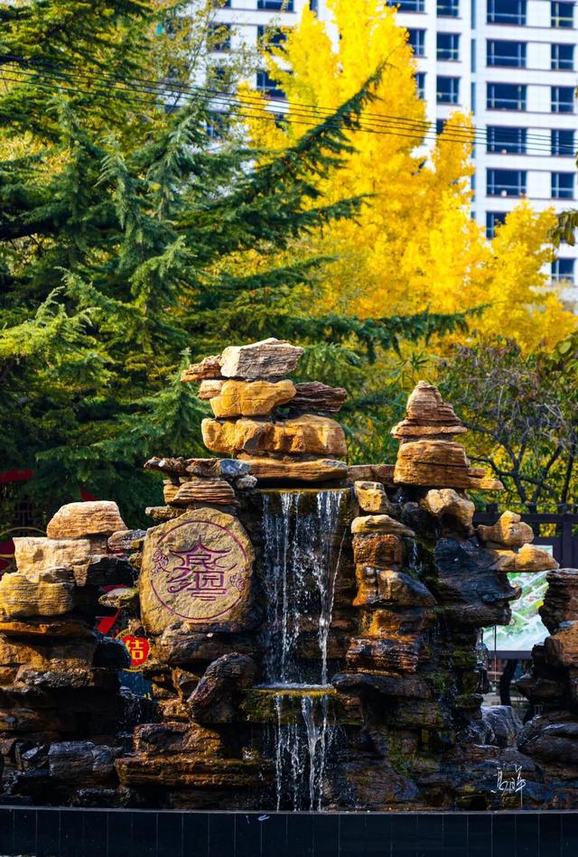 冬日限定｜临夏的初冬，是写满诗意的“人间治愈”