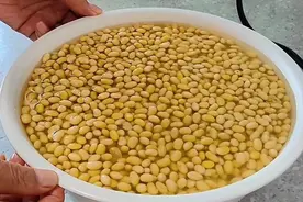 “10斤黄豆”加多少红糖和酵母，自制作有机肥？图片