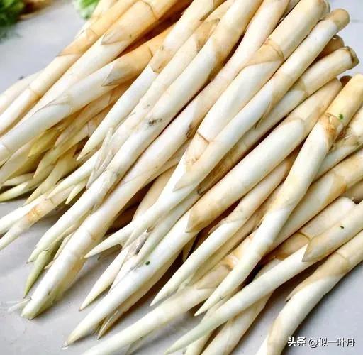 明临安府，今云南建水县