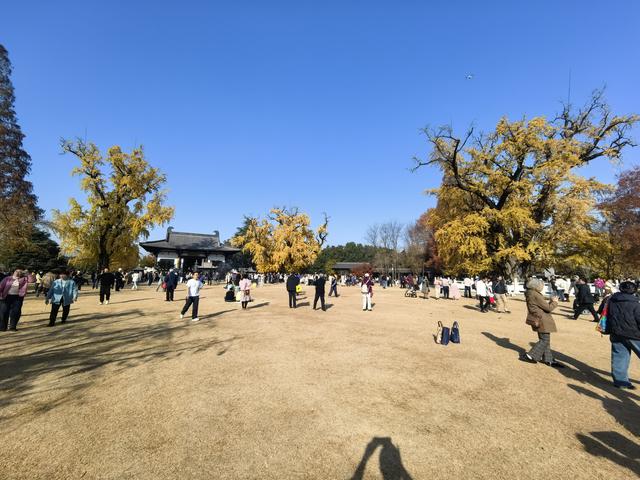 南京老山郊野一日徒步，从狮子岭兜率寺到汤泉惠济寺