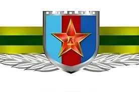 如此丰富的军人胸标，你晓得它们的深刻寓意？（—）图片