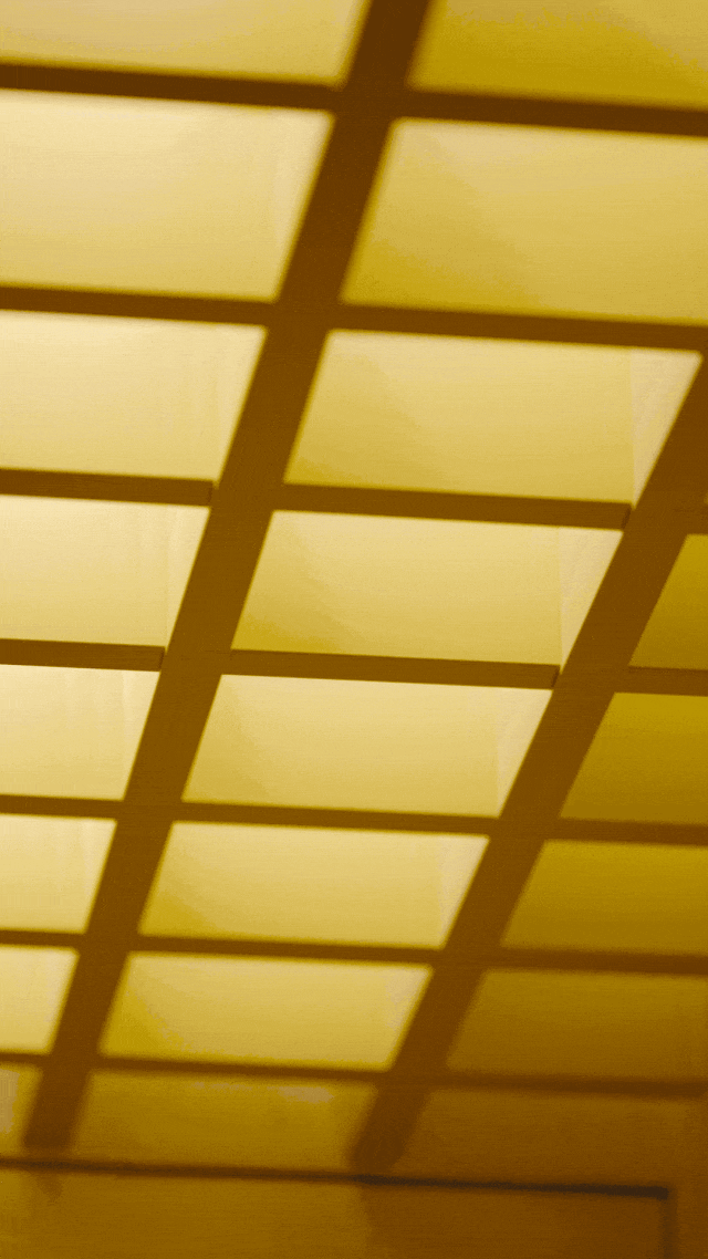 亲历行业寒冬，上海夫妻在老小区一楼改出80m²野地：治愈自己