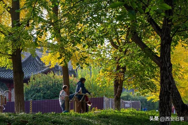 漫步在秋韵浓郁的环城公园（美图）