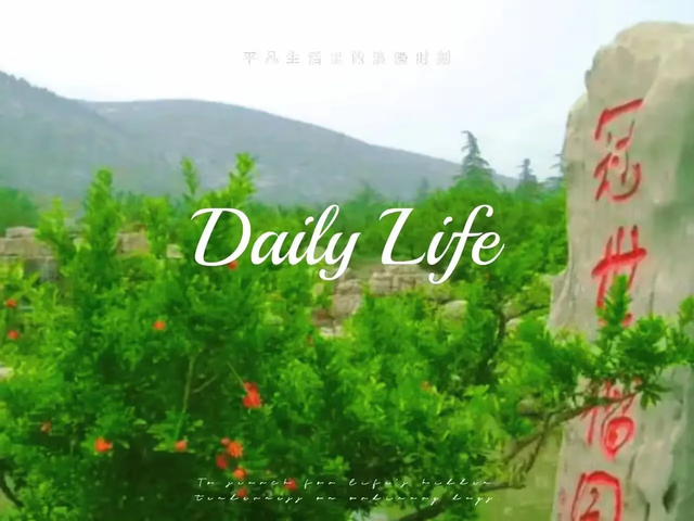 这儿是誉满华夏的冠世榴园，难以忘却的是曾经的硝烟弥漫