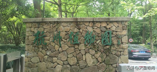 杭州人都藏着的竹林秘境！免费还没人挤，逛着像拍武侠片