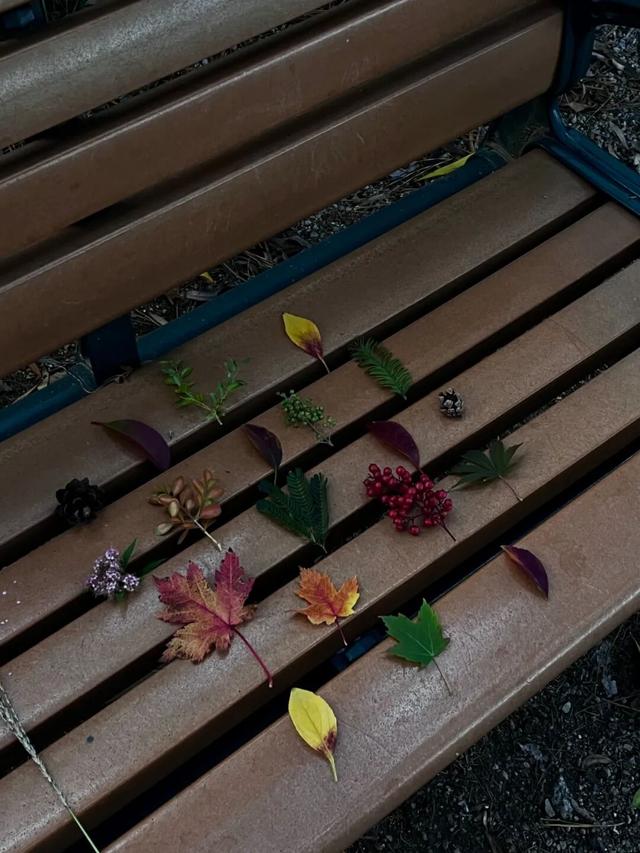 来淄博“捡秋”！海岱楼、周村大街…全被捡出来了→