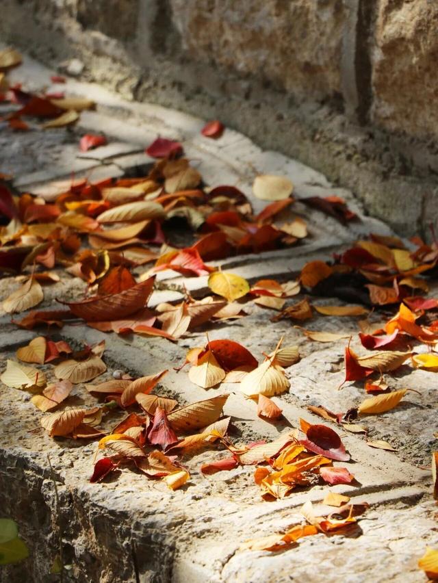 出片率UP！UP！UP！潍坊这里好美啊！