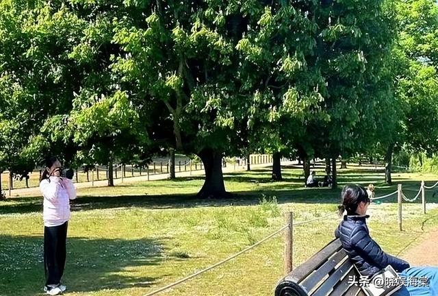 大批中国人仍扎堆登机赴日，日媒采访让人不适，游客回答出人意料