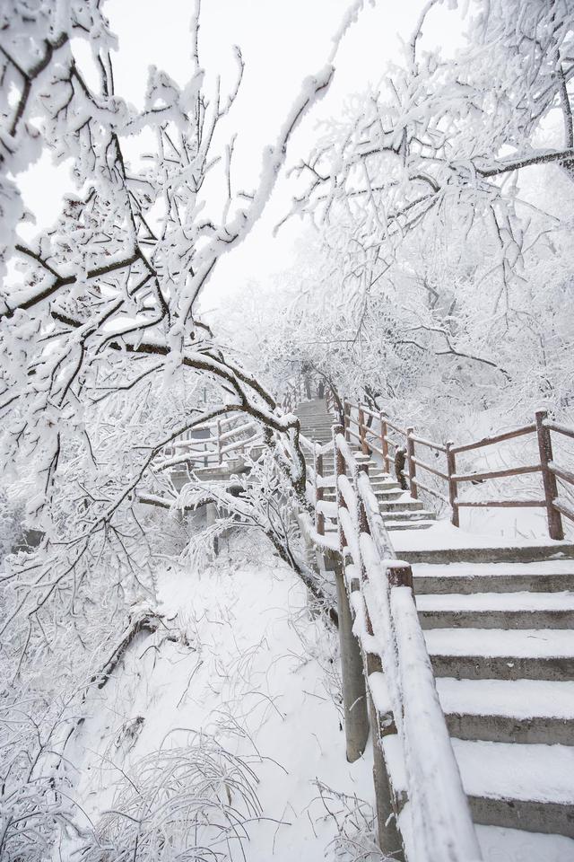 老君山雪景爆火背后：一场5000万播放量的文旅营销启示