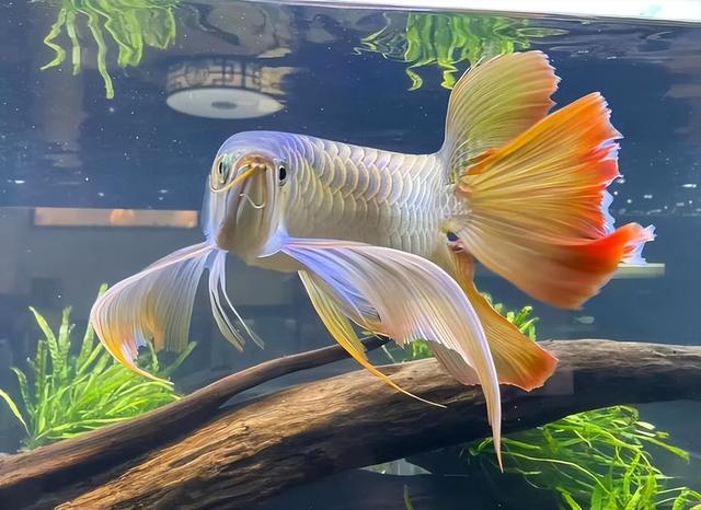 不查不知道一查吓一跳，坐拥北京60亩马场的于谦，私下到底有多壕