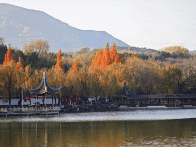 一起来跌进丰台毛茸茸的世界吧！