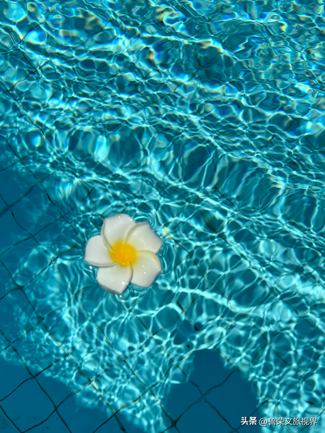 隐匿在广东的冬日秘境：恩平，一座20℃暖冬里的温柔小城