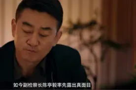 《九部的检察官》口碑两极分化严重，烂在这两点上图片